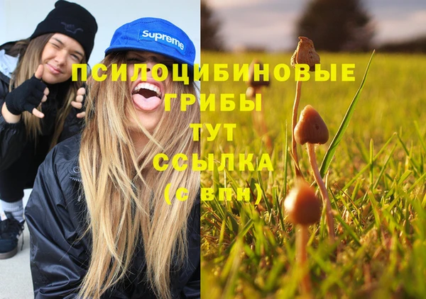 ALPHA PVP Туринск