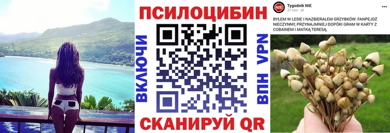 Галлюциногенные грибы MAGIC MUSHROOMS  Ростов 